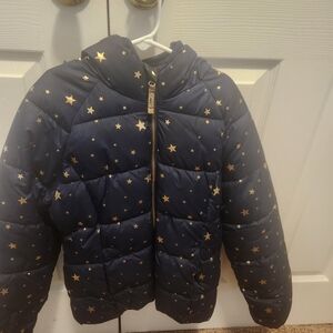 Blue and Gold Star Print Quilted Puffer Jacket